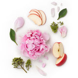 Dolly Parton Dolly Dancing Fireflies Body Spray 236ml at Glorious Beauty