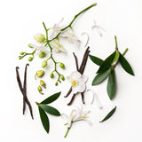 Dolly Parton Dolly Parton Tennessee Sunset Body Spray 236ml at Glorious Beauty