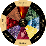 Maison Noir Maison Noir Icarus 347 EDP at Glorious Beauty