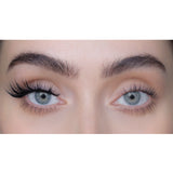 Sweed North 3D - Black at Glorious Beauty