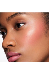 Love Beauty Hate Waste Stila Complete Harmony Lip & Cheek Stick (LBHW) at Glorious Beauty