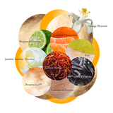 Lalique Lalique Soleil Vibrant Eau De Parfum at Glorious Beauty