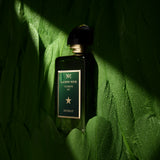 Maison Noir Maison Noir Icarus 967 Extrait at Glorious Beauty