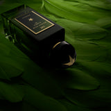 Maison Noir Maison Noir Icarus 967 Extrait at Glorious Beauty