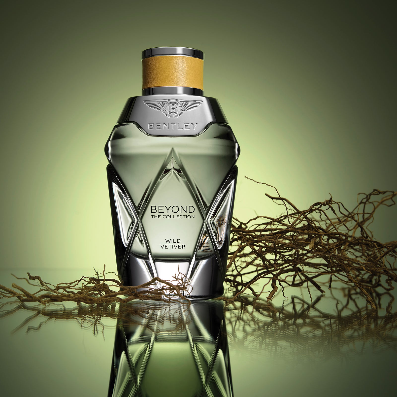 Bentley | Beyond The Collection - Wild Vetiver EDP | Glorious Beauty
