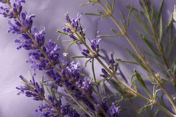 I love classic aromatic scents